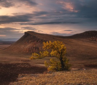 Сундуки