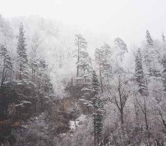 Снегопад в Гуамском ущелье