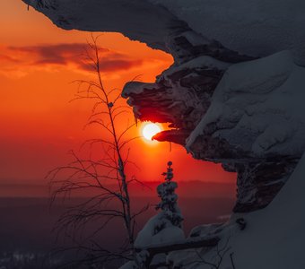 Проснувшийся медведь съедает весеннее солнце