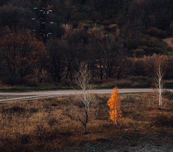 Три сестры