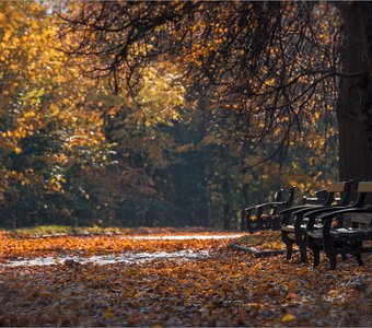 Осень на Воробъевых