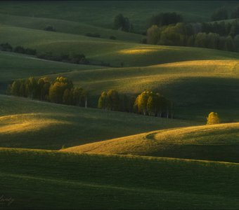 Первый день лета..