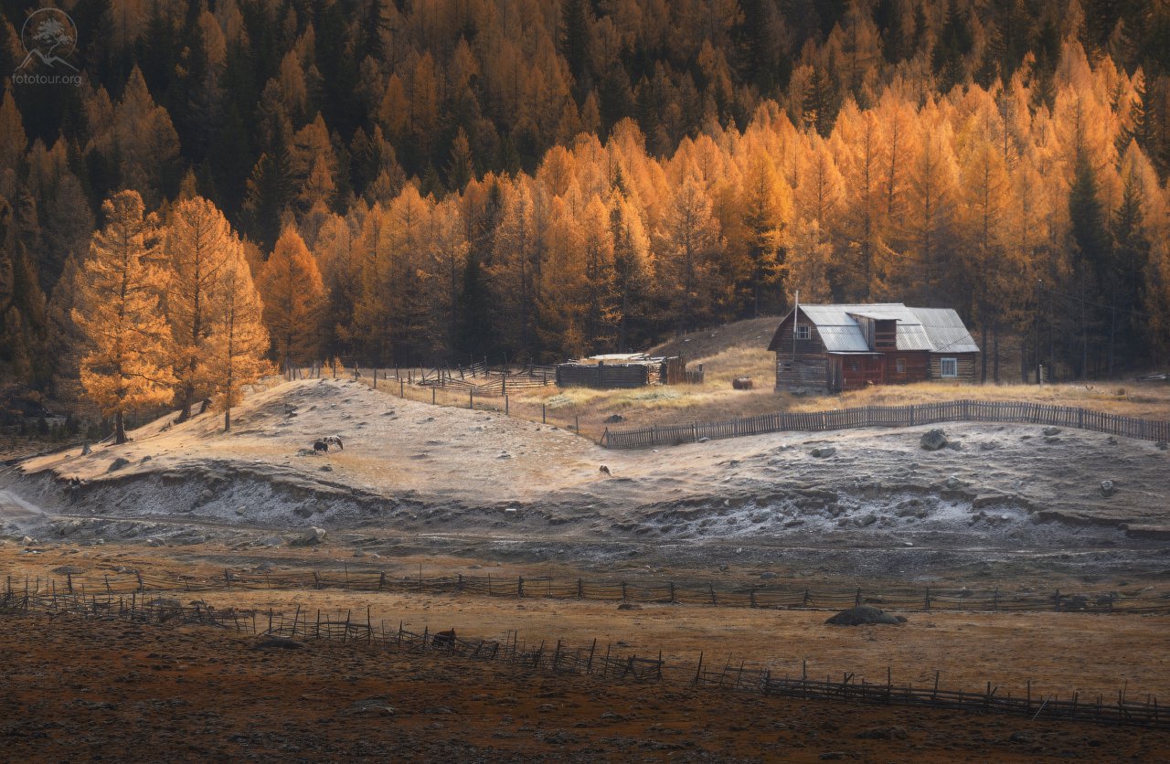 Домик вдалеке — Фото №1358445