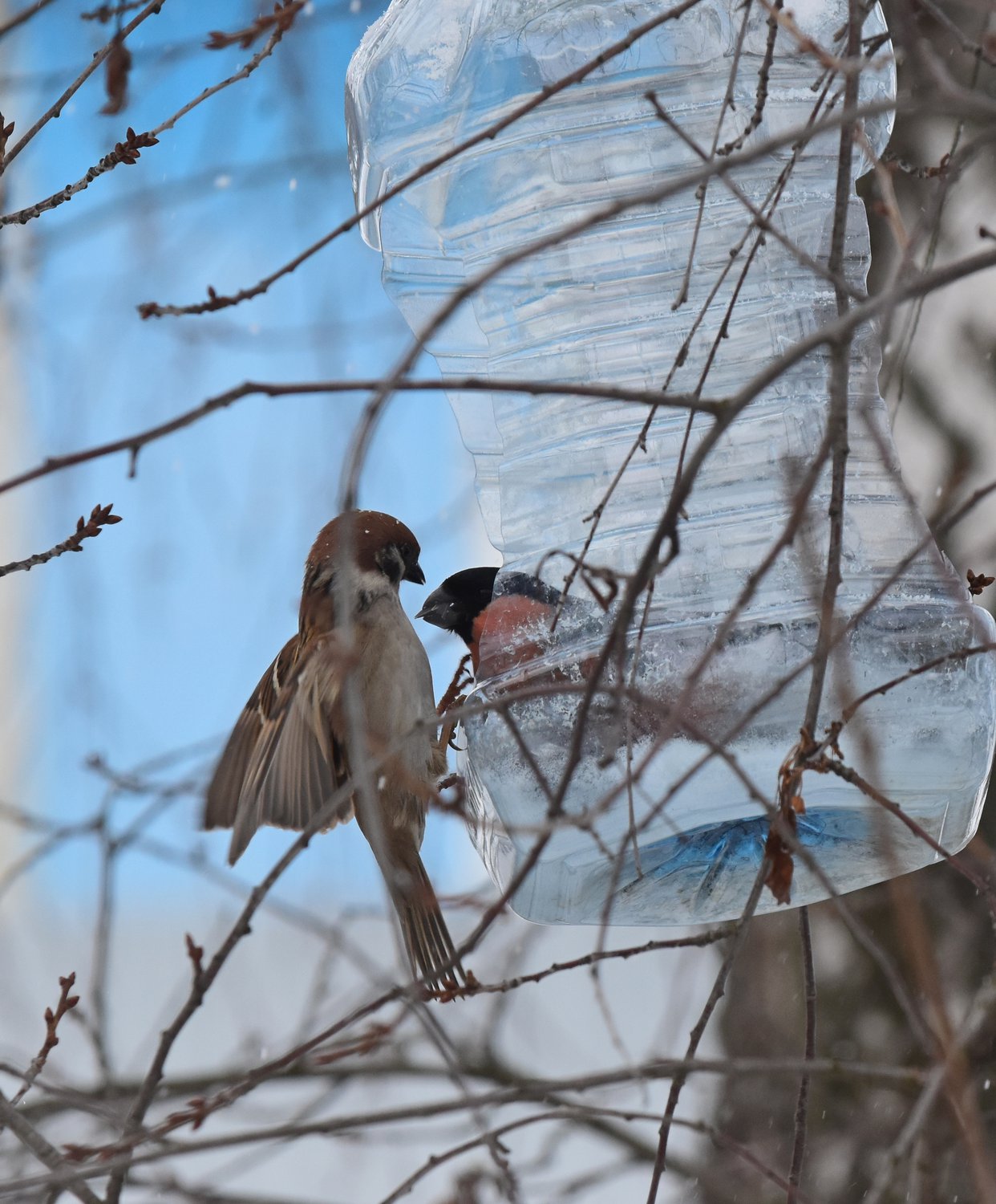 Битва за еду