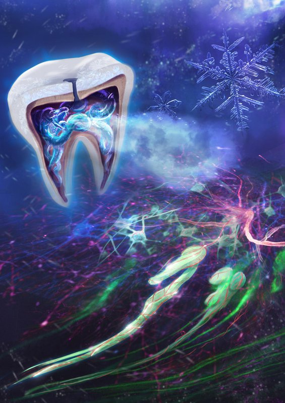 4 стоматологические проблемы, способные вызвать боль всего ряда