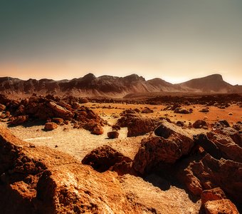 Марс на Земле