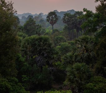 Закат в джунглях Камбоджи