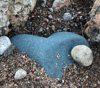 Сердце, не камень
