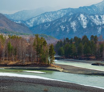 Катунь начала освобождаться из-подо льда...