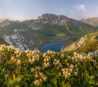 В краю рододендронов и озёр