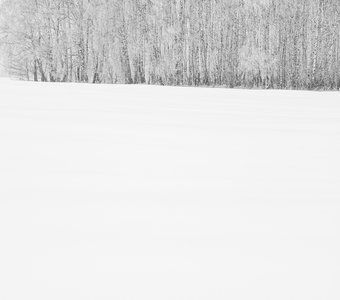 Зимний пейзаж