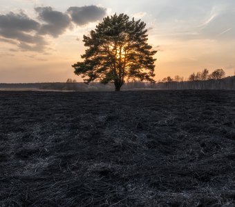 Пожар на острове Лохин