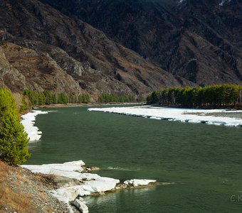 Катунь весенняя.