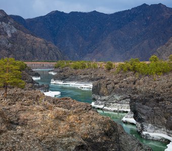 Катунь весенняя