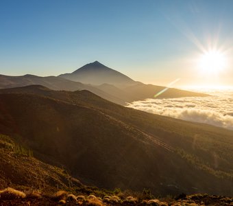 В лучах заката