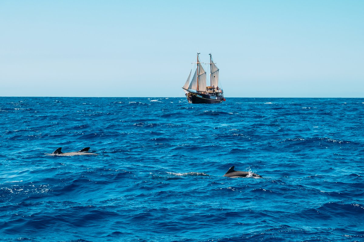 Плещеево озеро зона кайтинга. Ни океанов ни морей. Ни океанов ни морей. Ни океанов ни морей книга. Алехин книги макулатура.