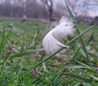 Невесомость