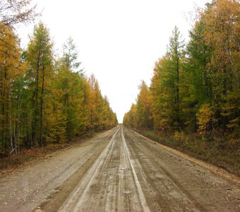 Осенняя дорога. Якутия