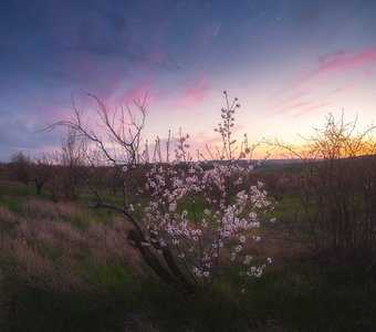 Новая луна апреля