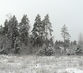 День, припорошенный снегом