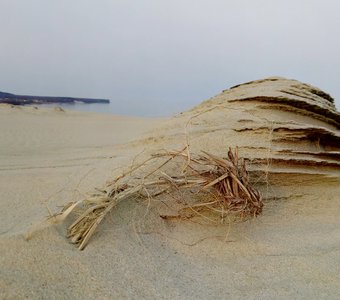 Песчаные дюны Куршской косы