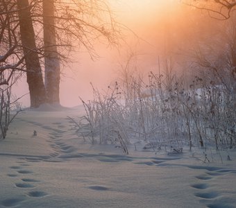 Зимние туманы Пехорки