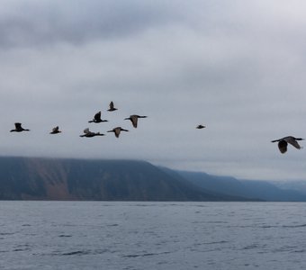 Камчатские мотивы