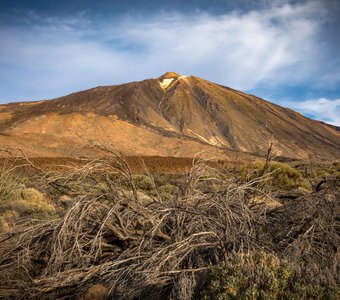 сквозь дебри к Тейде