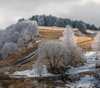 Серебристый иней