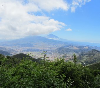 Вид на долину Оротава (Тенерифе)