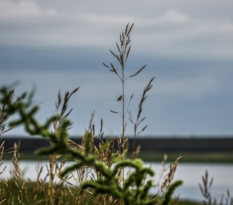 Спокойствие