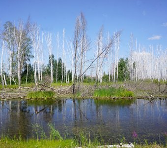 Вода, земля и воздух