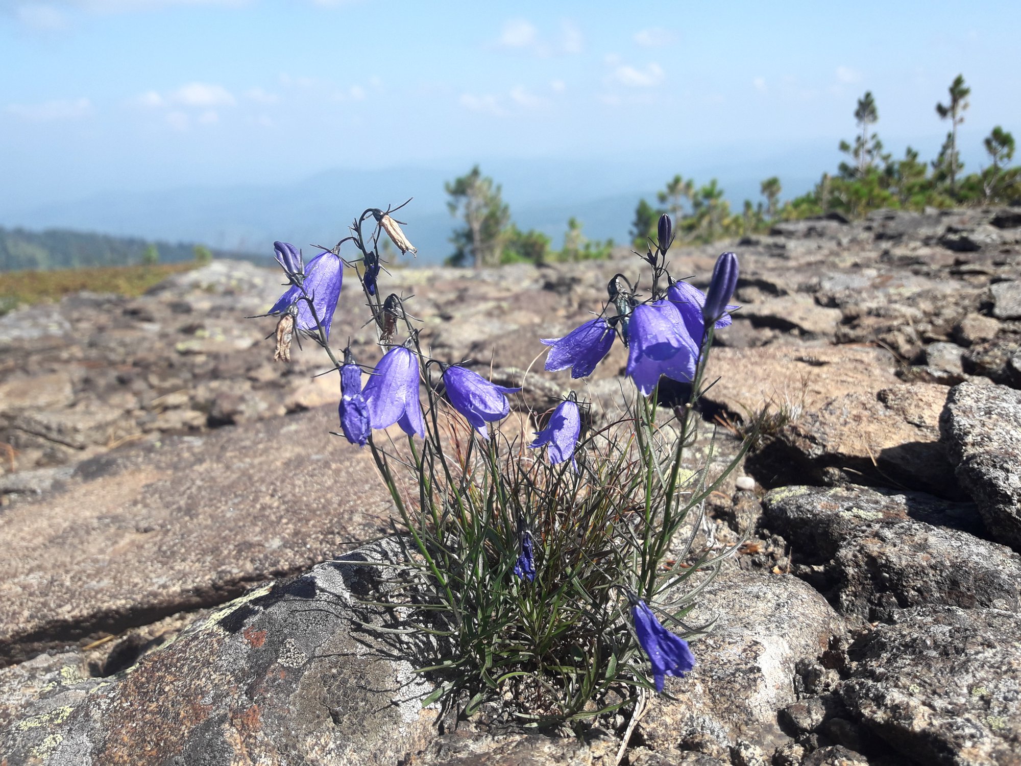 «Такой же» как все