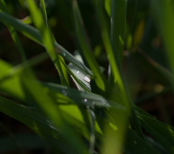 После дождя