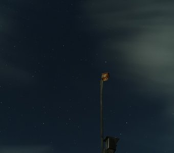 Звёздное гнездо