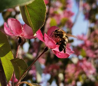 Волшебство