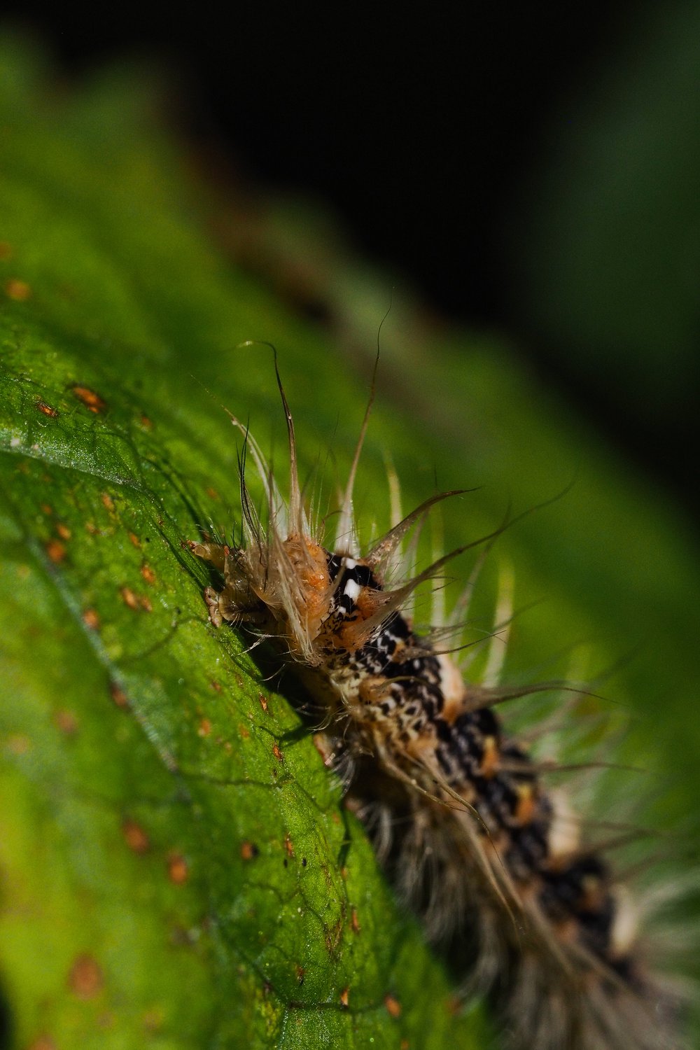 Вышла погреться