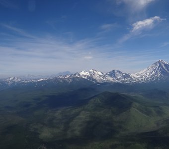 Словно бархат