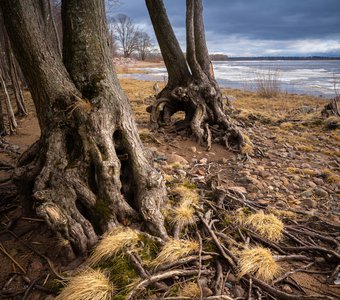 Побережье парк Дубки