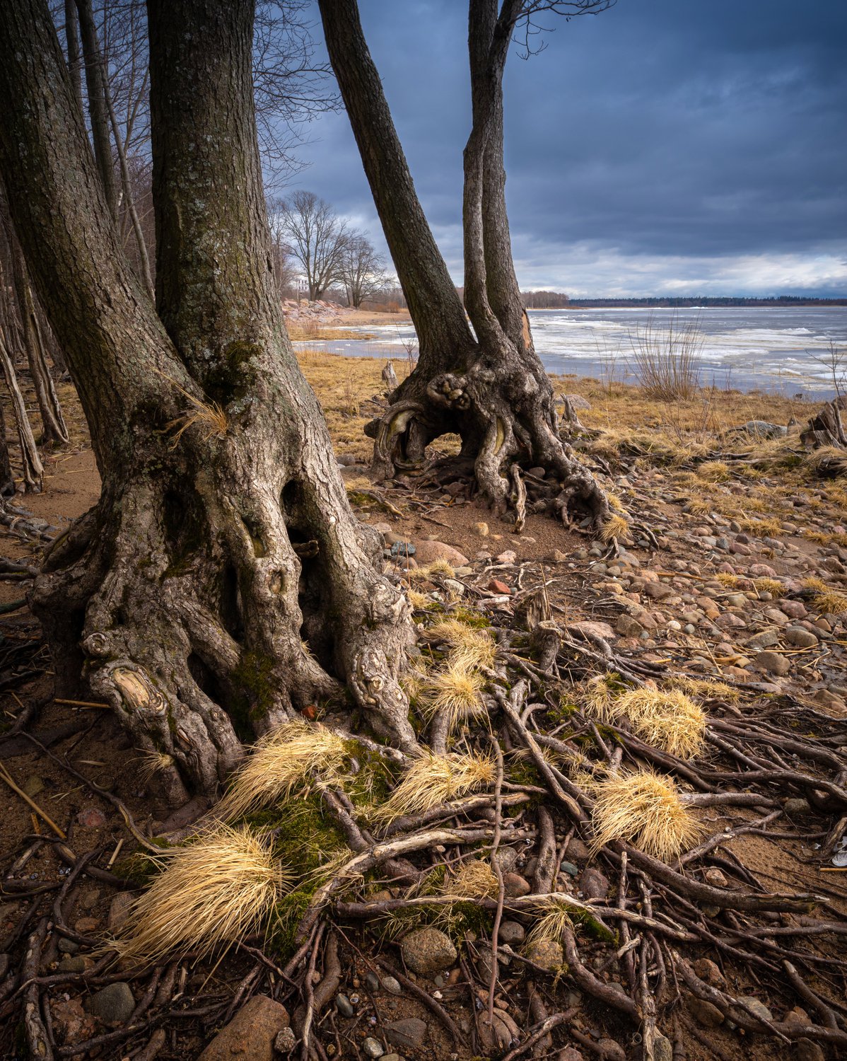 Побережье парк Дубки