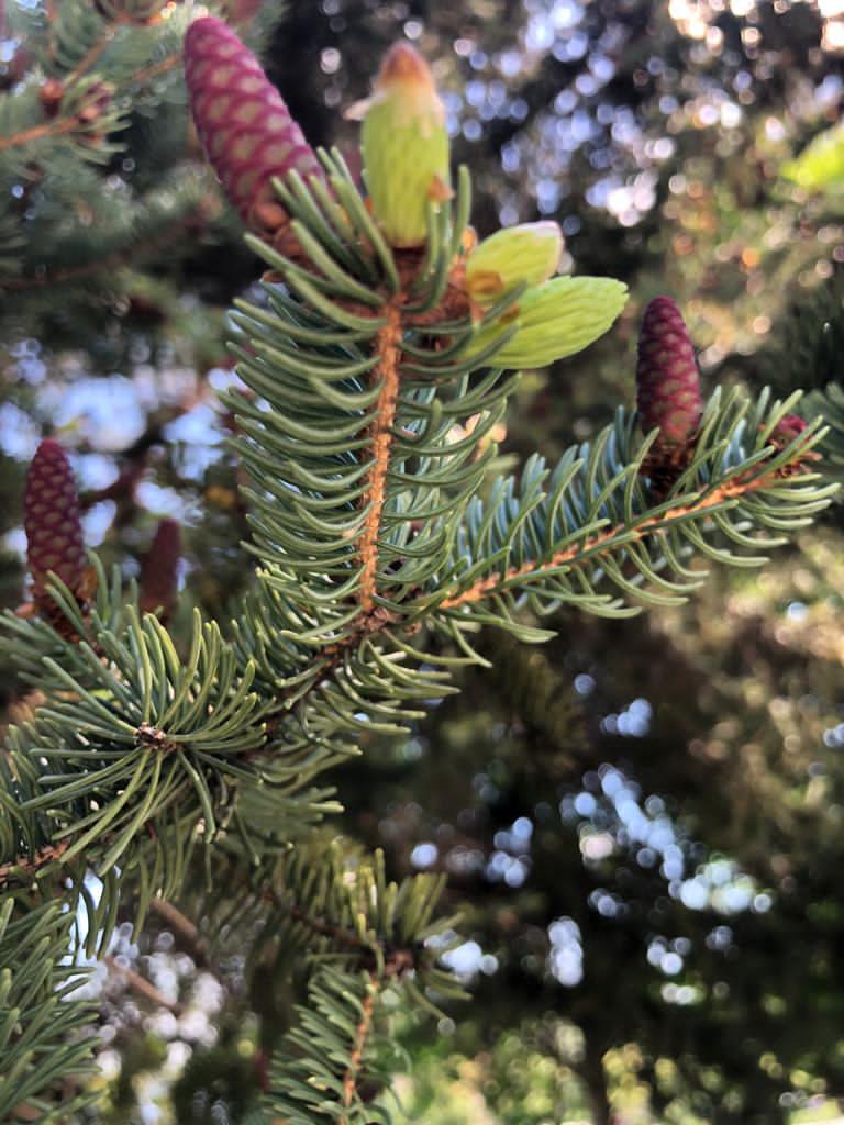 Обновление