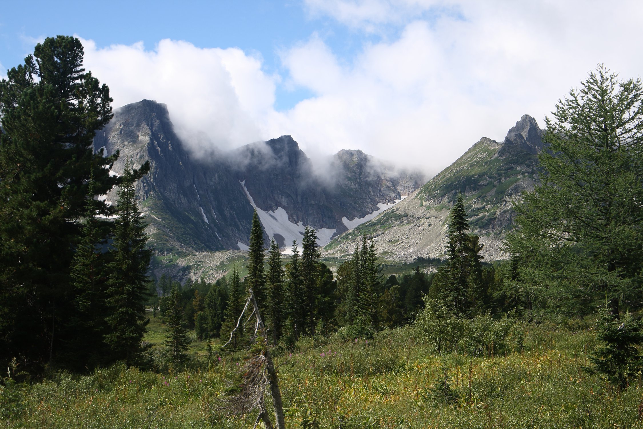 Поднебесные Зубья