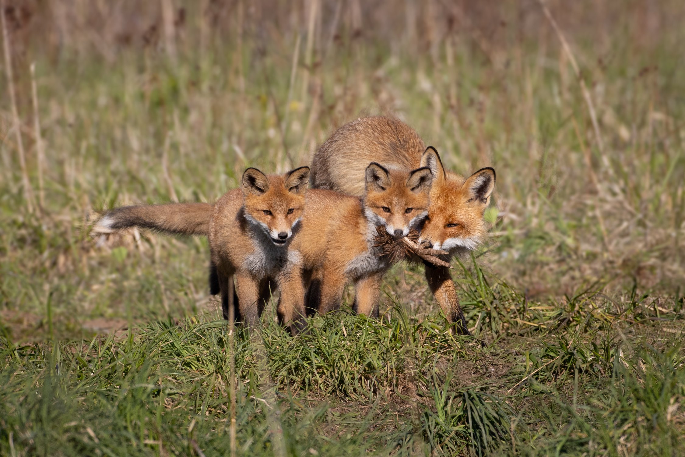 Спрячем по-дальше