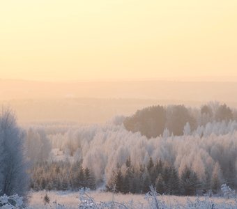 Зимний лес