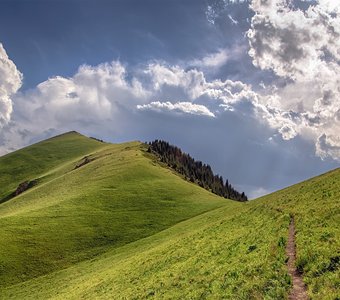 Дорога в небо