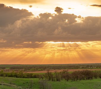 Кубань. Май.