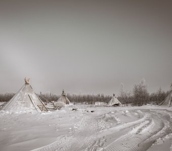 Свободные люди.