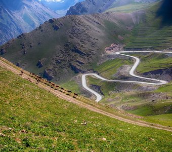 Дороги, которые мы выбираем