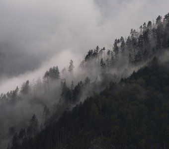 Летний дождь в горах Алтая