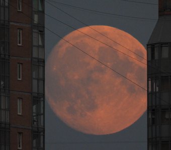 Восход луны над ЖК "Международный" 23 июня'21.